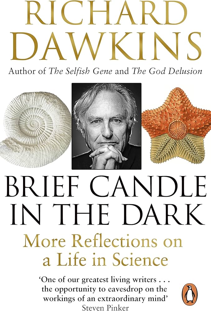 Cover of Brief Candle in the Dark