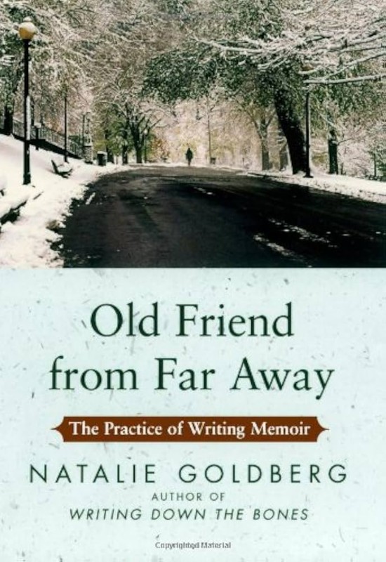Cover of Old Friend from Far Away